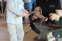 IMG_2381-scaled